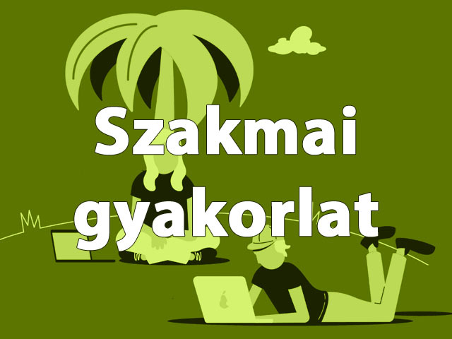 Szakmai gyakorlat